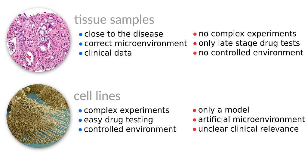 cell lines vs. biopsies