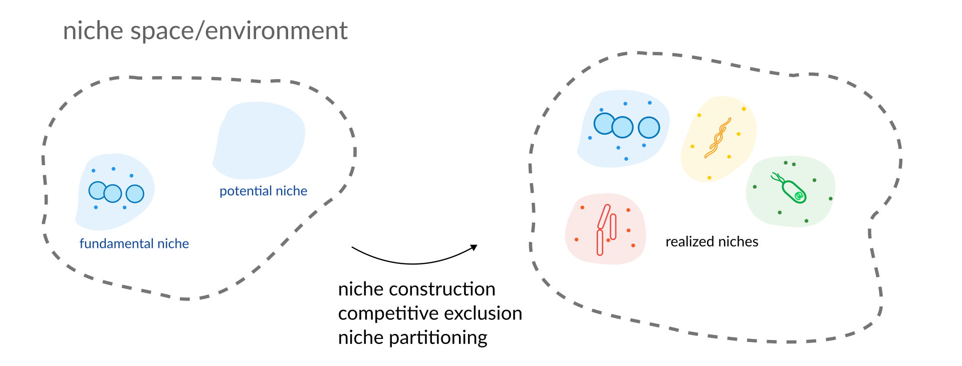 A basic illustration showing the microbial niche space.